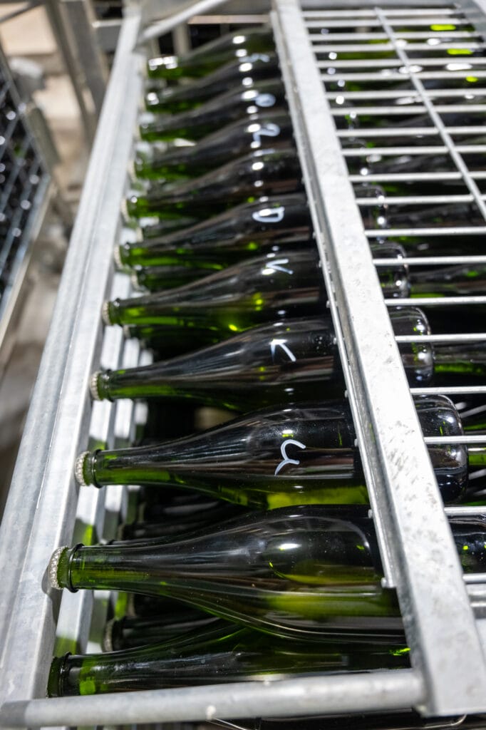 Bottles of sparkling wine stacked neck-down in a riddling rack during second fermentation